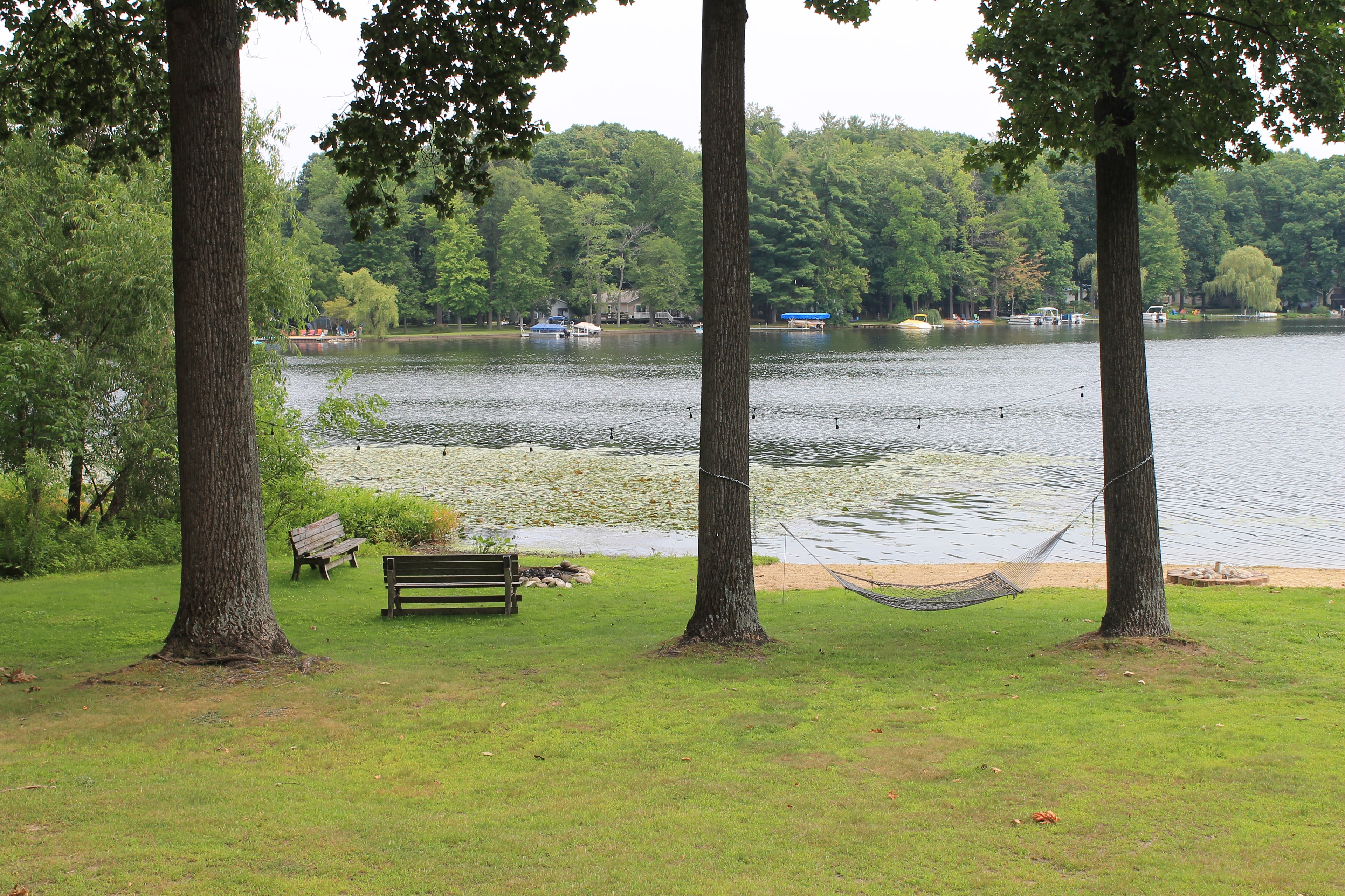 Lake view with hammock and benches